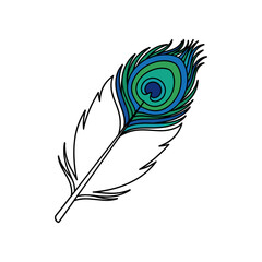 Obraz premium Vibrant peacock feather illustration with intricate patterns and vivid colors on a white background