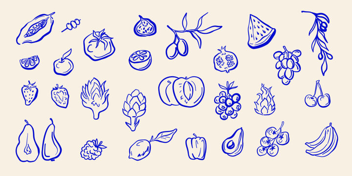 Hand drawn fruits and berries set with pear, grape, cherry, fig, peach, watermelon, avocado, and other fruits in blue outline style. Vector illustration.