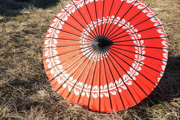 A red and white umbrella with a black handle sits on the grass. The umbrella is open and the sun is shining on it. The scene is peaceful and serene, with the umbrella providing shade