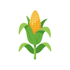 Vibrant corn on the cob with green leaves, set against a plain white background, ideal for agriculture