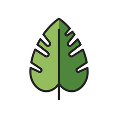 Vibrant green monstera leaf illustration showcasing natural beauty and botanical design