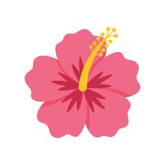 Vibrant pink hibiscus flower with yellow stamen against a clean white background