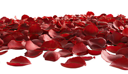 A carpet of deep crimson rose petals
