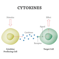 Cytokines: Essential Proteins for Intercellular Communication