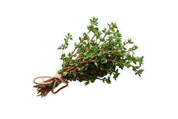 Close-up of a bunch of fresh thyme tied with twine