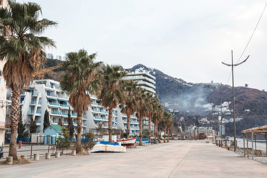 Palm trees along a coastal promenade with modern hotels and mountain backdrop, captured on a cloudy winter day in a seaside resort town, tourism and travel destination