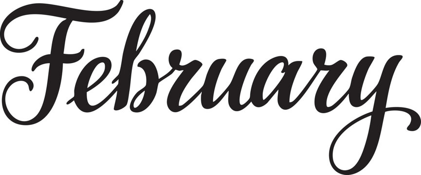 Elegant February calligraphy text a decorative script for seasonal design isolated on a white background
