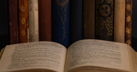 An open book with aged pages lies in front of a row of antique books, suggesting a moment of study or reflection.