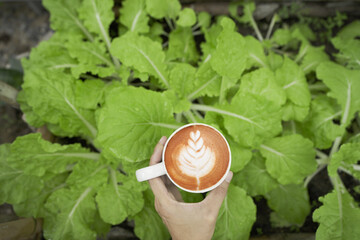 Hand people hold a Fresh coffee mug in home greenhouse garden. This cozy, still-life photo beautifully contrasts a relaxing modern lifestyle with sustainable organic gardening. Top view