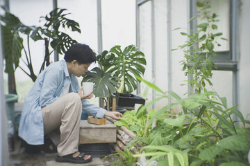 lifestyle of a city dweller embracing sustainability and urban farming, an asian man takes a coffee break while inspecting and caring for his leafy greens inside his private greenhouse.