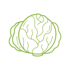 Hand Drawn Cabbage Outline Icon for Healthy Food and Cooking Design