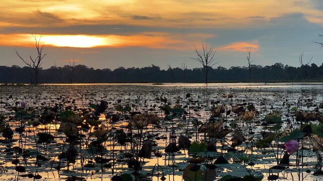 The lake near the Khmer temple of Neak Pean in Angkor, Cambodia, at sunset. The Jayataka lotus pond in Siem Reap. Neak Poan is part of the Preah Khan temple, which was built by order of Jayavarman II.