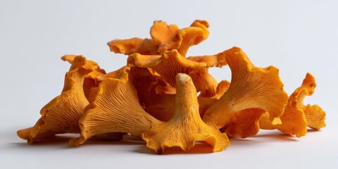 Fototapeta premium Close-up of fresh orange chanterelle mushrooms on white background