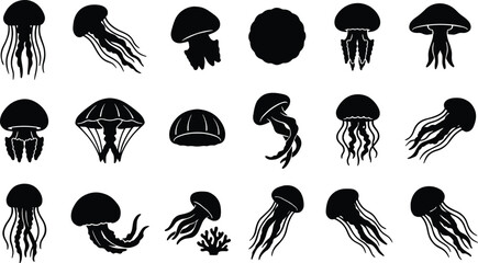 Vector collection of black jellyfish silhouettes featuring various marine medusa poses like swimming floating and drifting isolated on a white background © Taslima