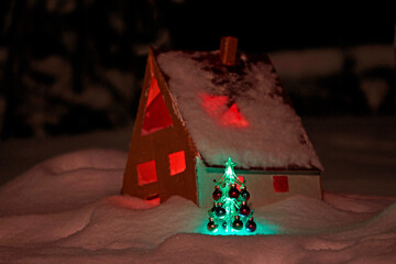 a model house standing in the snow