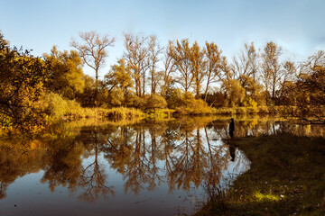 Fototapeta premium An autumn nature landscape is a harmony of colors, mist and calm spaces, creating the perfect background for peace and connection with nature.