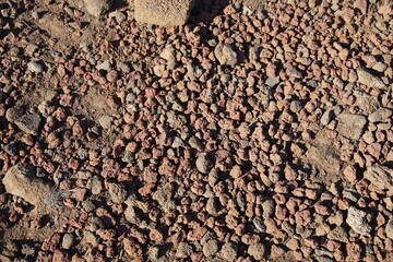 Trekking to Monte Corona, Lanzarote, November 2025, nature, bush, tree, landscape, view, rock, volcanic island, trekking, monte corona, plant, lichen