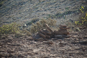 Trekking to Monte Corona, Lanzarote, November 2025, nature, bush, tree, landscape, view, rock, volcanic island, trekking, monte corona, 