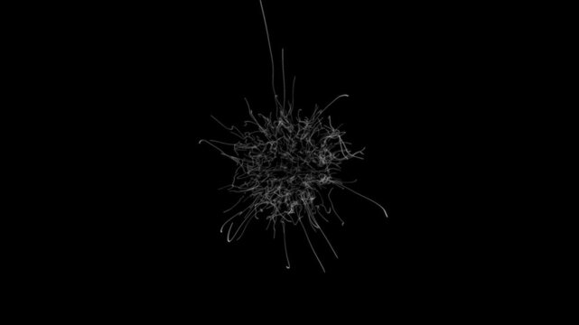 Abstract Light Trails Explosion on Black Background.
Dynamic abstract animation frame featuring glowing white wiggly lines bursting outward from a central point and gradually fading into darkness.