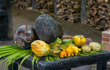 Examples of typical Costa Rica fruit and vegetables used historically for food and medicine