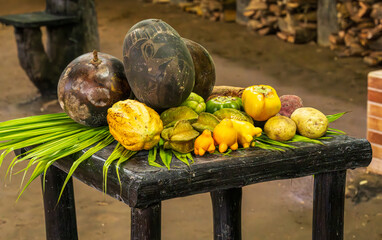 Examples of typical Costa Rica fruit and vegetables used historically for food and medicine