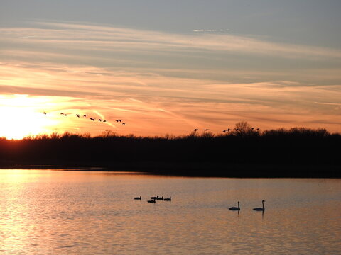 The tranquil sounds of wildlife speak, echoing across the wetlands, as the last rays of sunlight color the sky. Sunset, Bombay Hook National Wildlife Refuge, Kent County, Delaware