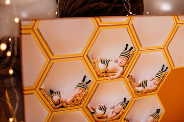 Newborn photo album with honeycomb design and baby portraits