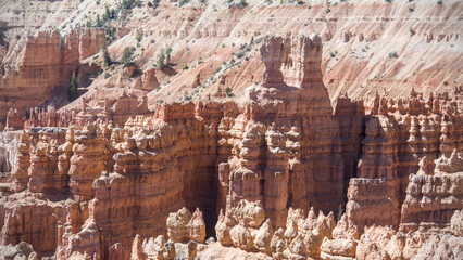 Rising From the Basin