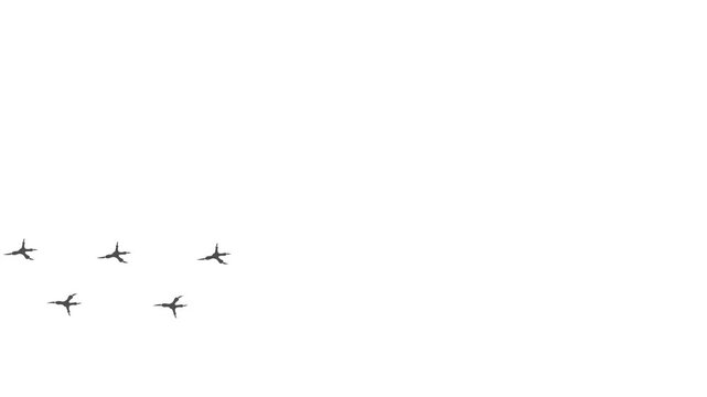 Loop animation of the dark gray silhouette of the footprints of a bird.  Cartoon funny Bald eagle print along the path. Trajectories that follow the path of movement. Animation of eagle tracks.
