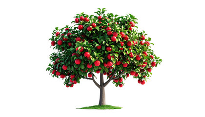 Obraz premium Digitally rendered apple tree, laden with bright red fruit and dense green foliage. Isolated on black