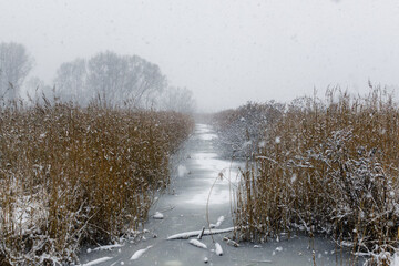A Narrow Frozen Stream Is Flanked By Tall Golden Reeds And Frosty Trees Under A Heavy Gray Winter Snowfall