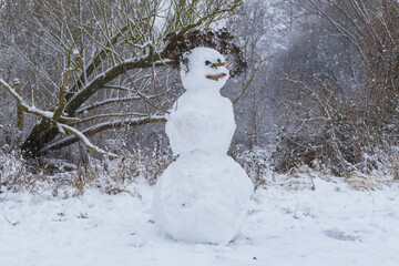 A Tall Snowman With A Dark Floral Crown And Stick Features Stands In A Snowy Field Before Bare Winter Trees