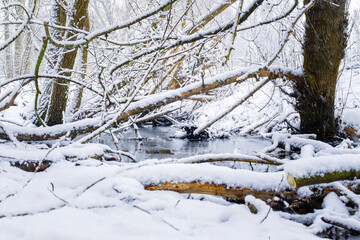 Thick White Snow Covers Fallen Logs And Arching Tree Branches Over A Small Dark Creek In A Quiet Winter Forest