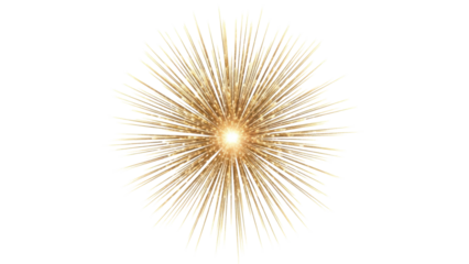 Golden Sparkle Burst Isolated on Transparent Background
