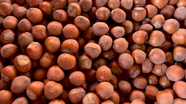 Hazelnuts in their shells background, tracking shot from above on hazelnuts