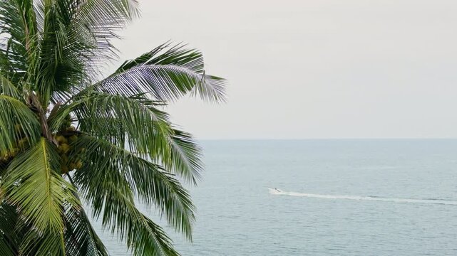 The coast of Thailand on a cloudy day, beach entertainment - parachute behind a motorboat, people parachute over the sea