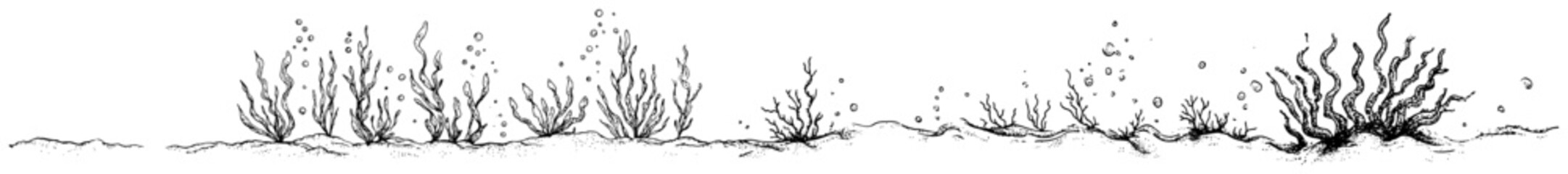 Hand drawn illustration of underwater seaweed and coral plants on the sea floor © Kaz