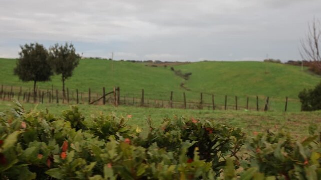 Village View in Early Morning Fog