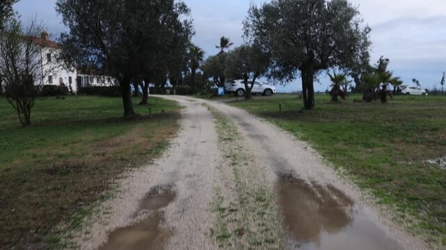 Village View in Early Morning Fog