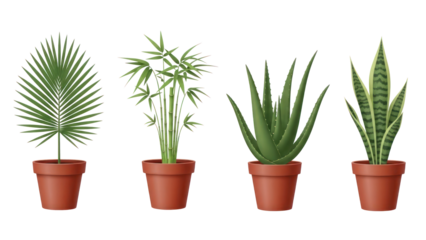 Four potted houseplants including palm, bamboo, aloe, and snake plant isolated on transparent background.