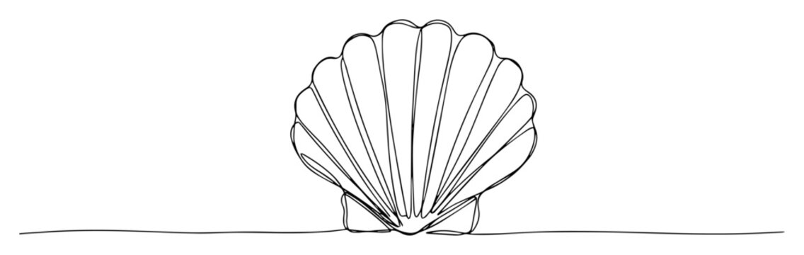 seashell opened with pearl inside line illustration