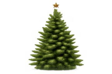 Christmas tree with golden star topper, celebrating winter holidays and festive season, transparent background