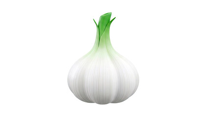 Single White Onion with Green Shoots