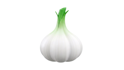 Single White Onion with Green Shoots