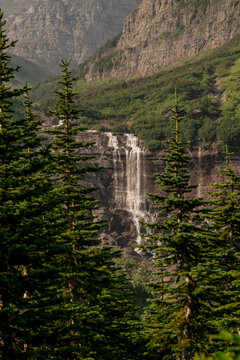 Pine Trees Frame Morning Eagle Pass In Glacier