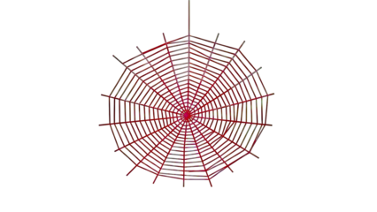 Red spider web against a white background