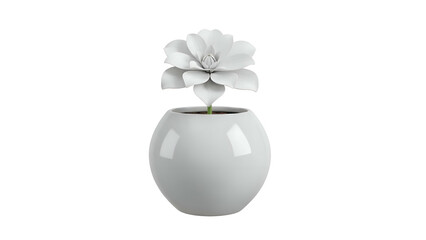 White Flower in Ceramic Round Vase.