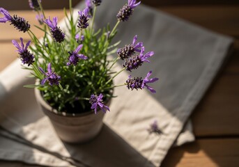 Potted lavender flowers on wooden table with warm natural light 