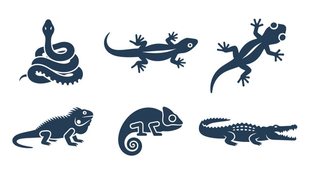 Reptile Illustrations Featuring Various Species.