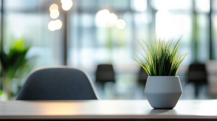 Workspace with plant on desk focuses on blurred office background with chairs and light fixtures in modern design during daytime